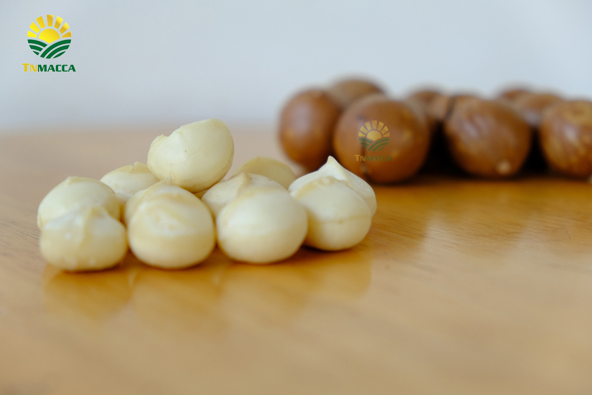 macadamia noten : 5 Hoe macadamianoten van hoge kwaliteit te kiezen?
